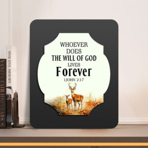 1John 2:17 Glow Cast Stone Wall Frame